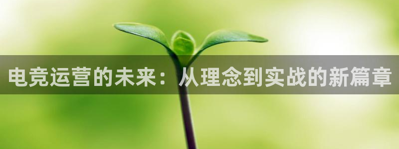 k1电竞馆：电竞运营的未来：从理念到实战的新篇章