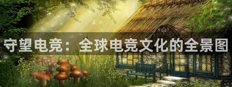 k1电竞：守望电竞：全球电竞文化的全景图